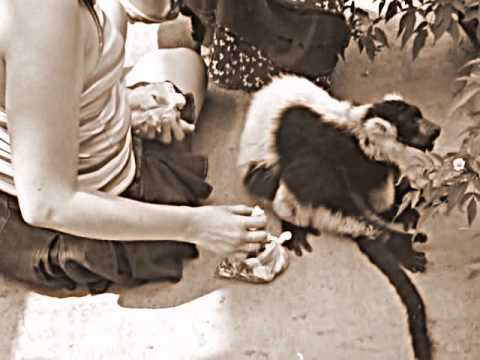 Ildi Name's day video 2015