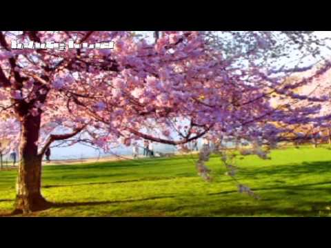 Yiruma - Spring Time