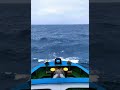 Seafarer Status Wa 2019