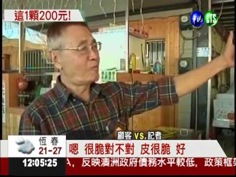 全台最貴柿子 一顆要價200塊錢