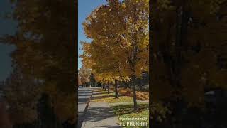 created using @flipagram