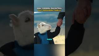 Essa Cordeira encontrou sua verdadeira família