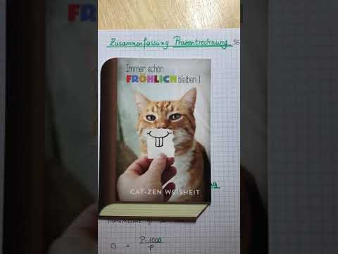 Zusammenfassung Prozent Promille und Zinsrechnung