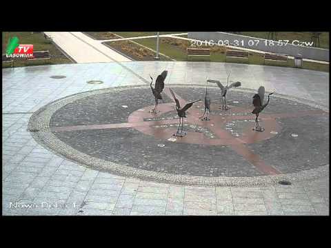 Lasowiak TV – transmisja na żywo