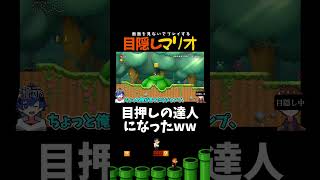 こんな上手い人他にいる！？ｗｗ【目隠しマリオ】