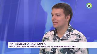 МИР 24: чип вместо паспорта