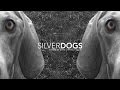 Silver Dogs