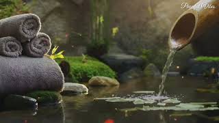 Relaxing Zen Music - Meditation Music, Peaceful Music, Bamboo, Relaxing Music, Nature Sounds, Spa