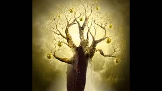 Bad Wisdom by Suzanne Vega