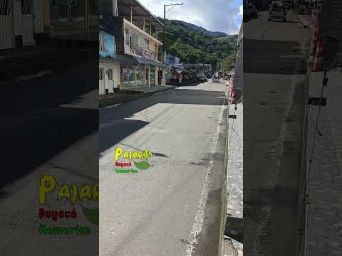 Pajarito - Boyacá (3:04 p.m.) (Mayo 20/2026)