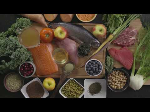 Dr Abby Huggins Discusses Pet Nutrition - Nulo Pet Food