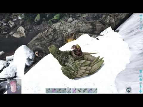 Ark Island PT24