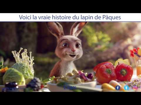 Cette publicité nous raconte les origines du lapin de Pâques