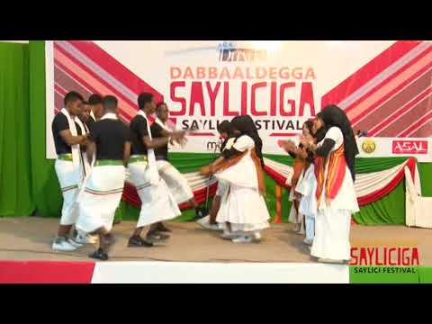 DABBAALDAGGA SAYLICIGA - CIYAARTA LIXAAD.