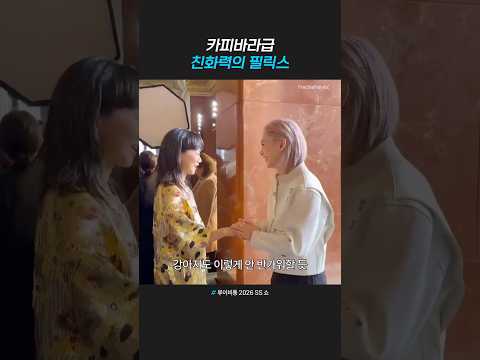 카피바라급 친화력의 필릭스