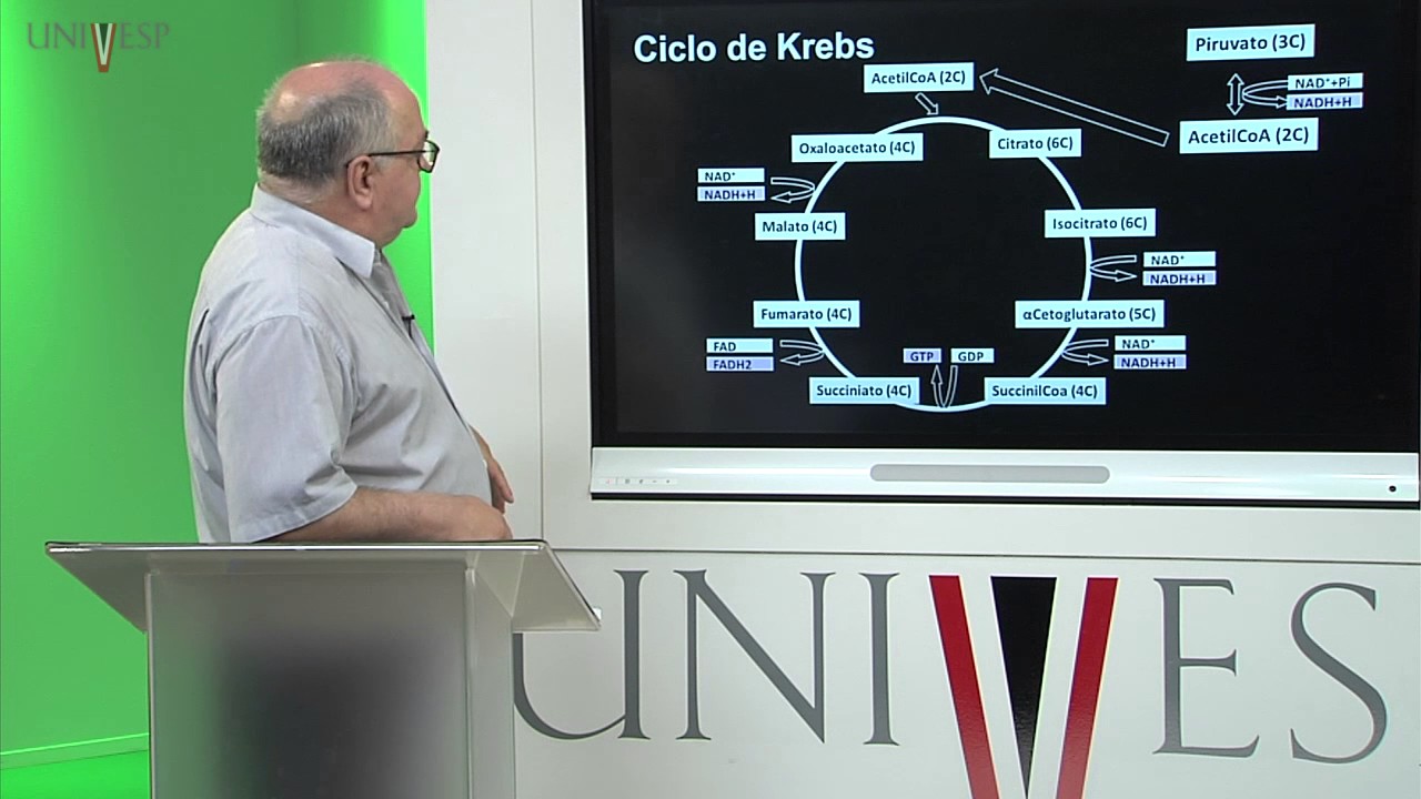 Bioquímica - Aula 15 - Catabolismo de Lipídios