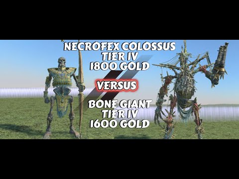Who Will Win? Necrofex Colossus or Bone Giant in Warhammer Total War 3!