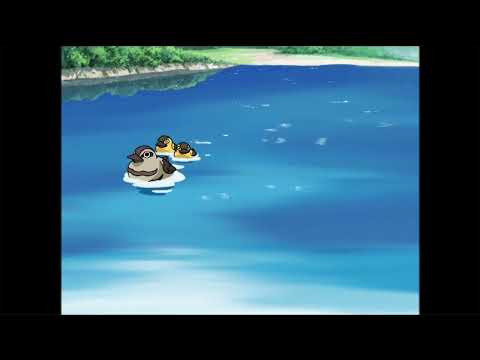 Sunbathing Piano Video