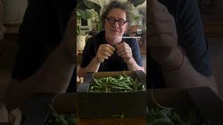 Download lagu Marco Pierre White - New-Season UK Peas mp3 Download lagu Marco Pierre White - New-Season UK Peas mp3