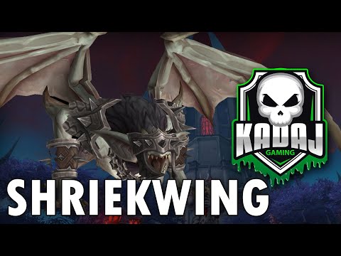 Mythic Shriekwing - Awareness (Warlock POV)