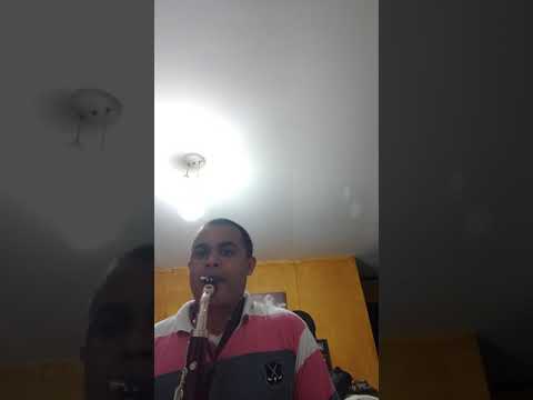 Clarone Alto Selmer Bundy 011-97375-0151