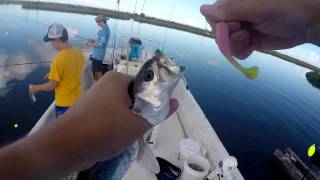 Marsh fishing for Speckle Trout and Red fish down in Port Fourchon, LA