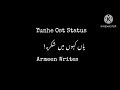 Yunhe Ost Status Ft Maya Ali And Bilal Ashraf ArmeenWrites