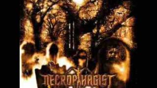 Necrophagist-The Stillborn One with lyrics