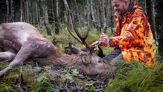 Hirsche GANZ NAH auf Drückjagd – jagenNRW story #26