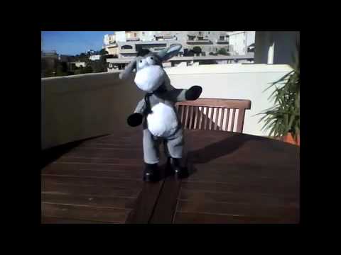 Happy Birthday, Deirdre!