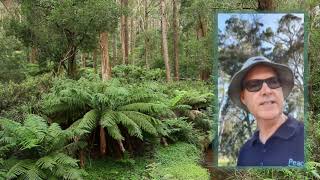 Peace For the Troubled Heart Chapter 3 Part 1