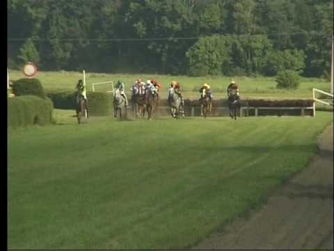 KO, 13. 8. 2016, 8. dostih - CENA SENEGALA