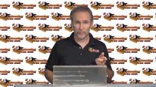 Ammo Quest: 380 ACP Remington Golden Saber ClearBallistics Gel ammo test in Taurus TCP 738