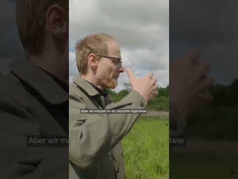 Wolf - Gefahr für Menschen? #shorts