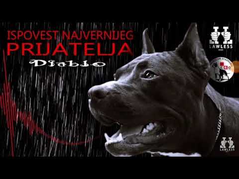 Veljko pešic - ispovest sampiona