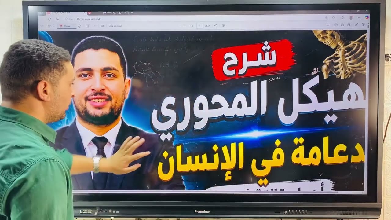 مقدمة الدعامة في الإنسان والشفرات التشريحية 👇 شرح الهيكل المحوري أحياء 2027