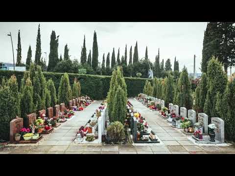 Mef in NOB - Oreste Dequel