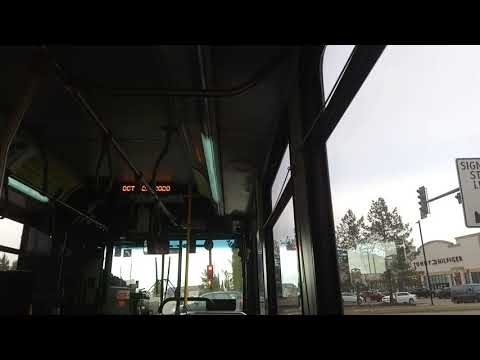 ETS Bus 2007 New Flyer D40LFR #6004 On 74 Southgate