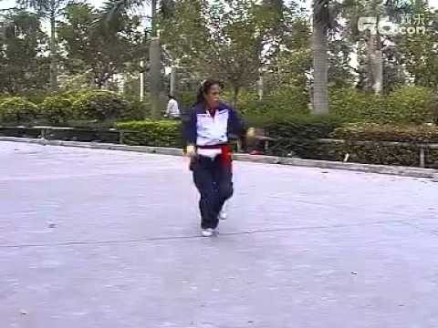 Crane form, Ha Say Fu / Ten Animal Hung Kuen