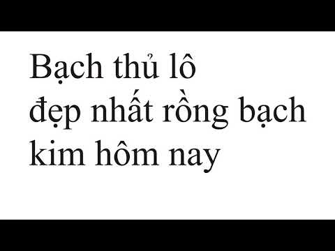 download lagu mp3 mp4 Soi Cau Rong Bach Kim Vip, download lagu Soi Cau Rong Bach Kim Vip gratis, unduh video klip Soi Cau Rong Bach Kim Vip