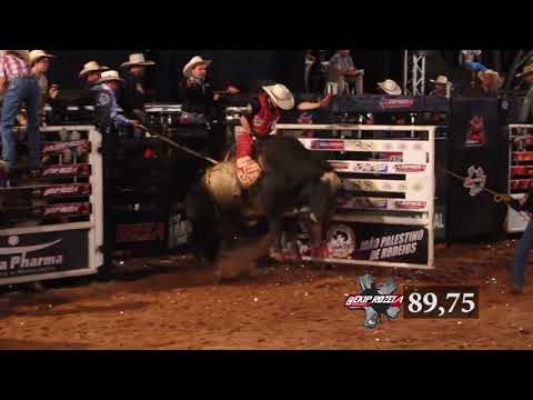 Leonardo Palata Vs Linha do Tempo da Cia. Euripinho Sollo