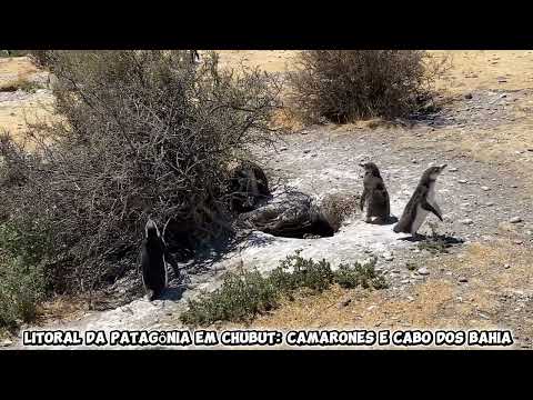 Litoral da Patagônia em Chubut, Camarones e Cabo dos bahia. Espetacular!