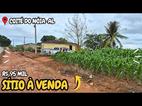 SÍTIO À VENDA EM COITÉ DO NÓIA ALAGOAS 