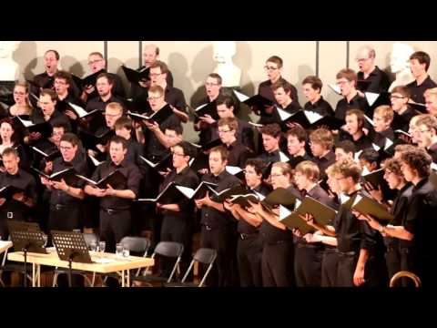 Kung Liljekonvalje - David Wikander