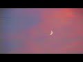 Blood Orange Chewing Gum Feat A AP Rocky Project Pat 8D AUDIO