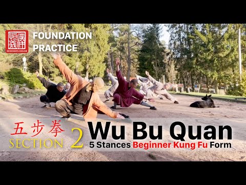 五步拳 · Wu Bu Quan (5 Stances Beginner Form / 2. Section)