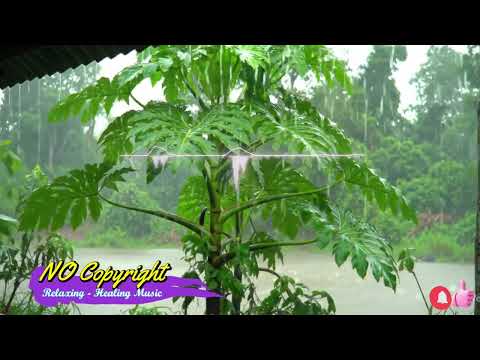 No Copyright | Free Music #shorts #viral #Mulita #lyrics #song #music #relaxing