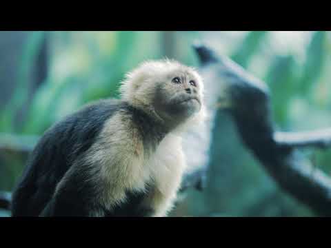 A Different Type of Healthcare Experience in Costa Rica