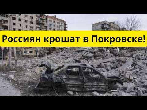Россиян крошат в Покровске! Потери колоссальны!
