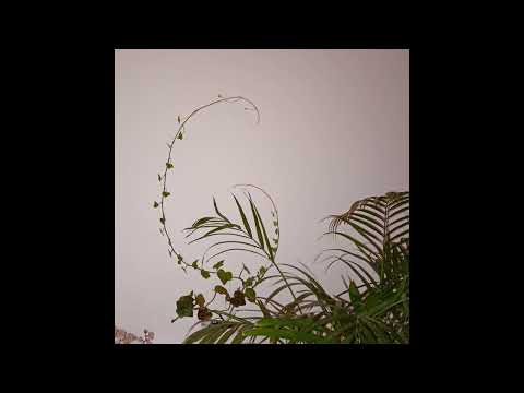 mix998 hip/euro/ghetto house